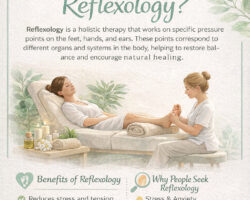 49F26E42-1BDD-4AE7-AE3A-D13CB739BC53