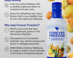 Freedom-A4-Poster-IRL