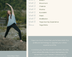Intro to Yoga Experience