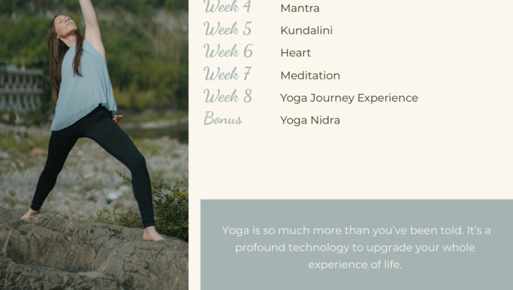 Intro to Yoga Experience