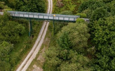 Newcastle West Greenway